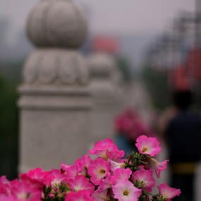 今天老婆送我了一只痰盂