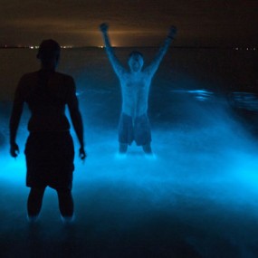 摄影师拍摄到蓝色夜光湖 仿若置身梦幻世界