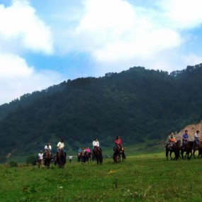 美丽的关山牧场