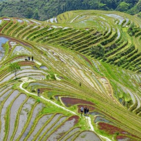 大地之美
