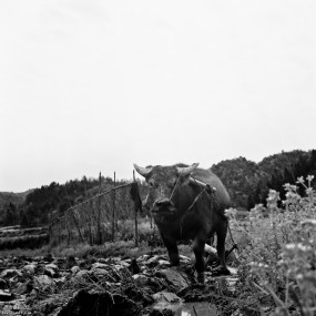 是什么让你如此忧伤