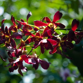 拍摄漂亮的生命