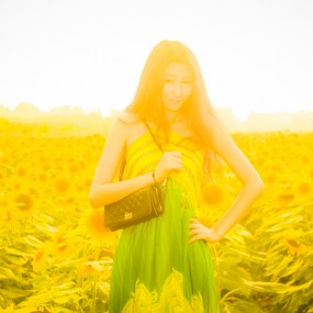 问道楼观台，相约葵花园。