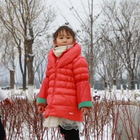 雪梅挺立