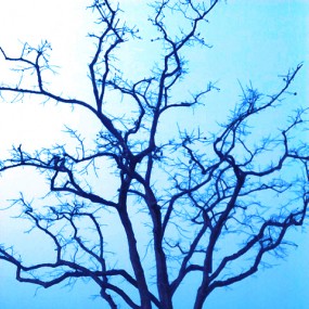 你比较喜欢哪一张