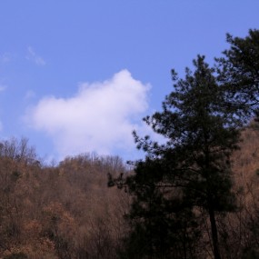 秦岭海拔2000米处