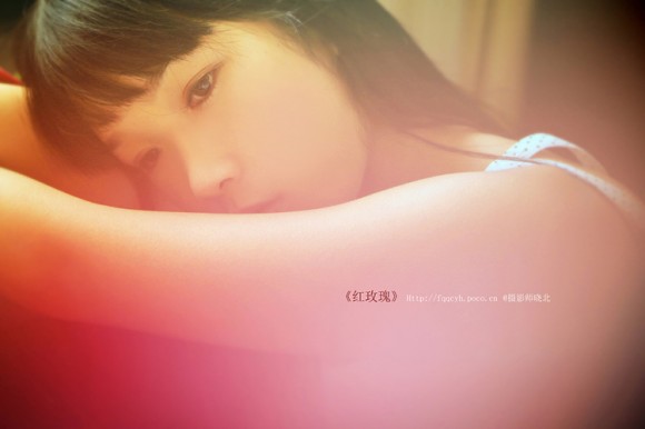 红玫瑰