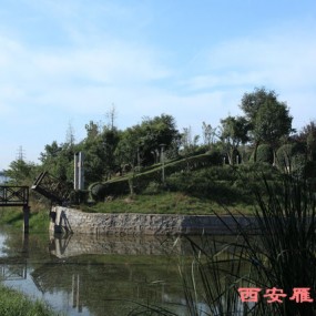 西安越来越好充满生机（专题之一）