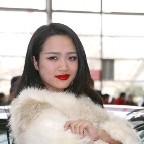 新年好！元旦车模