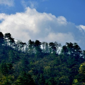 沿西汉高速前往昭化古城的路上（一）