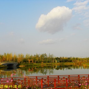 西安浐灞国家湿地公园美景实拍