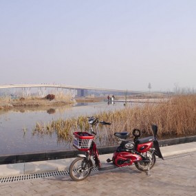 冬游浐灞国家湿地公园