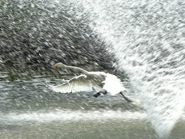 让暴风雨来得更猛烈些吧