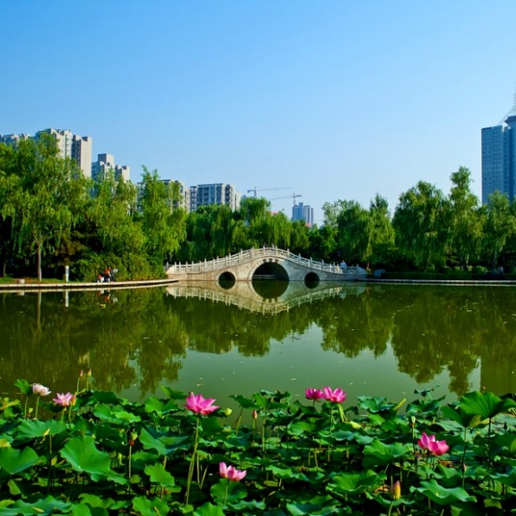 丰庆公园