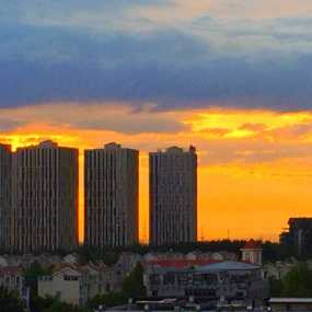 夕阳红