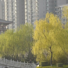 春到人间