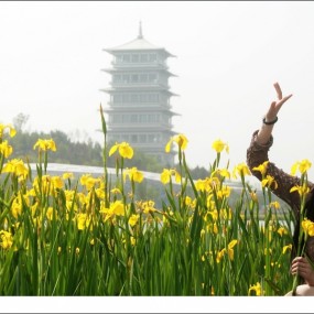 【原创】世博园活动交作业（2）------长安塔下的mm