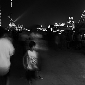 在这个孤独的世界