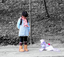 分享一组可爱的图片！