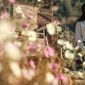 一瓣素心，守候时光