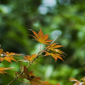 新人求大师指导