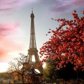 记忆的巴黎铁塔