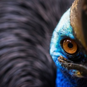 好奇《国家地理》