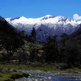 《神山珠姆》