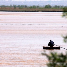 黄河捞鱼悠游自得