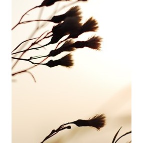 彩虹的相片生活