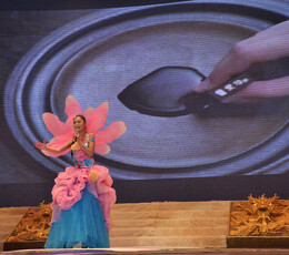 第四届西部小姐总决赛之第六幕