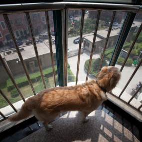 新进佳能16-35红圈头--试镜照