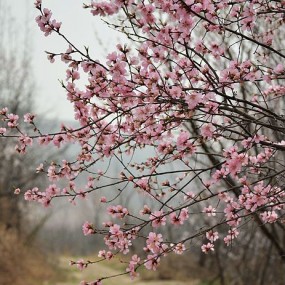 请给新人一些指点吧