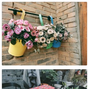 我爱你，我的故乡