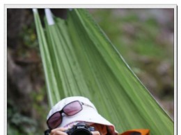 会照相的毛毛虫