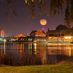 南湖公园拍荷花。2012.6.13.万像更新