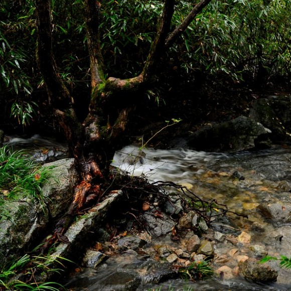 山美水美陕西秀美，最美当属秦岭南麓