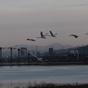 水上惊现轰炸机