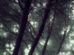 记忆体