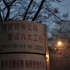 去向哪里