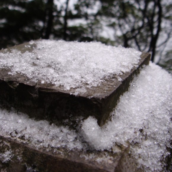 江南之景——微雪