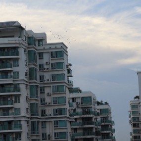 夏季城郊的晨光！