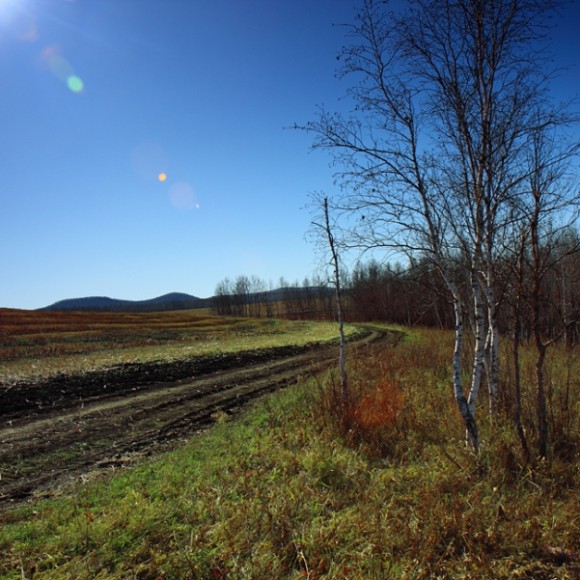 呼伦贝尔，赛罕