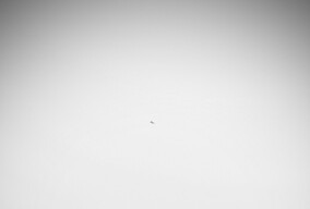 渭河大堤小清新？