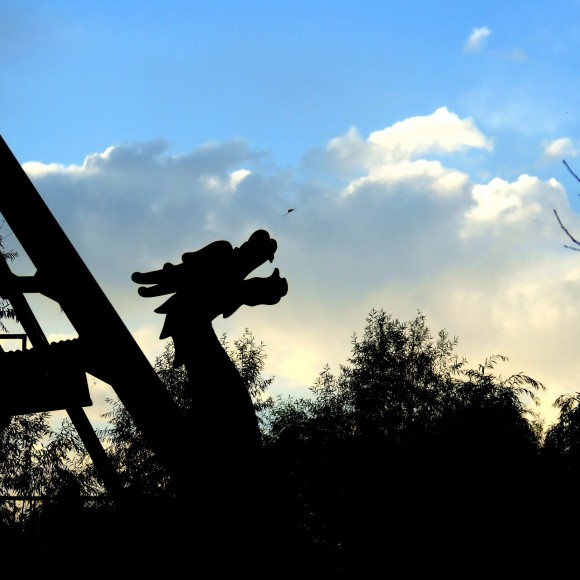 不小心得到了一张剪影