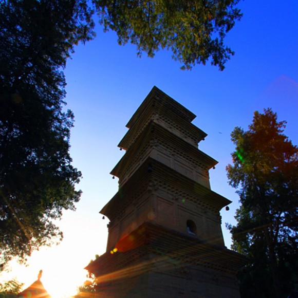 长安县兴教寺
