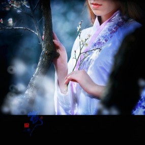 又见梅