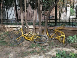 共享单车的遭遇（手机版）