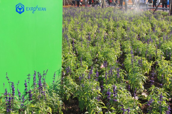 好久没来了。。。。随便拍拍，随便发发，见谅·