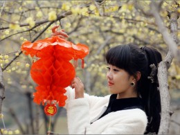 高挑的少女 人像一组————